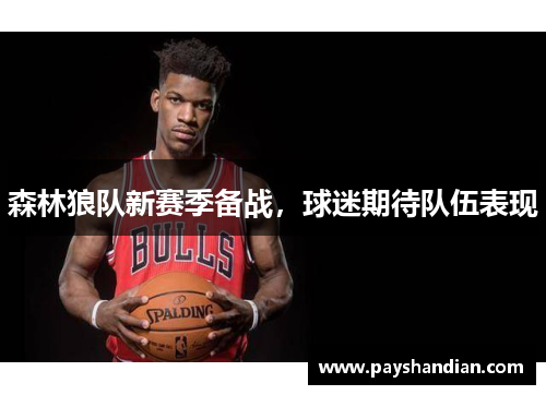 森林狼队新赛季备战，球迷期待队伍表现