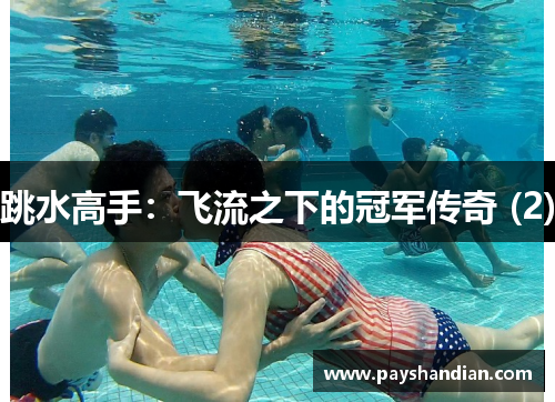 跳水高手：飞流之下的冠军传奇 (2)